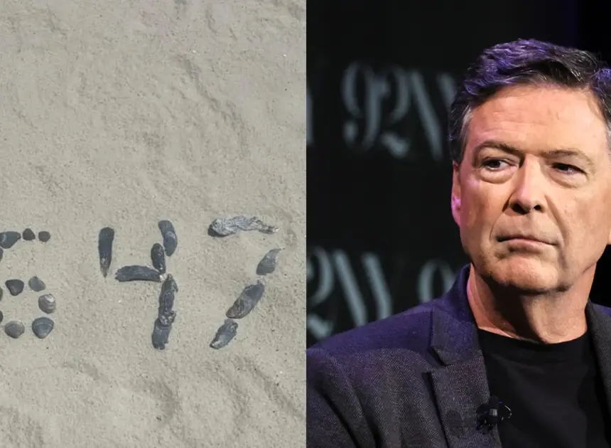 Citing ‘common sense,’ James Comey’s team urges judge to toss seashells case