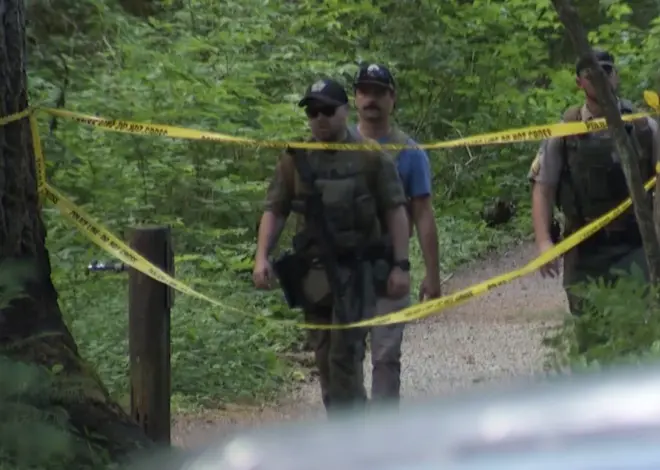 Black bear injures teen hiker in Washington state mountain area