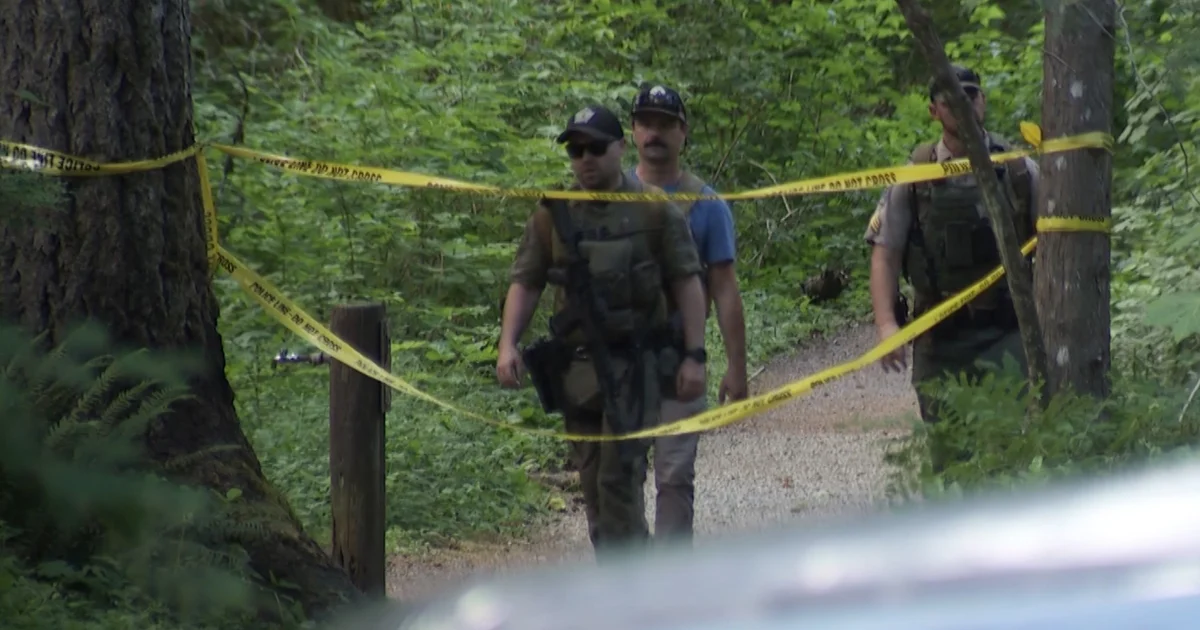 Black bear injures teen hiker in Washington state mountain area