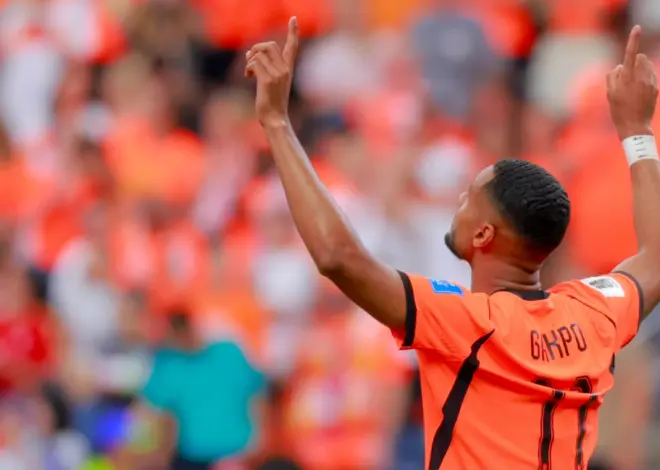 Dutch striker Cody Gakpo mourns the loss of unborn son at World Cup