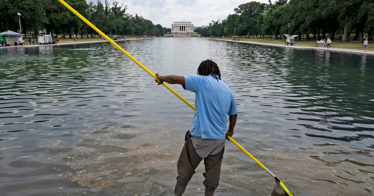 6 people arrested in connection with the alleged vandalism of the Reflecting Pool, Trump says