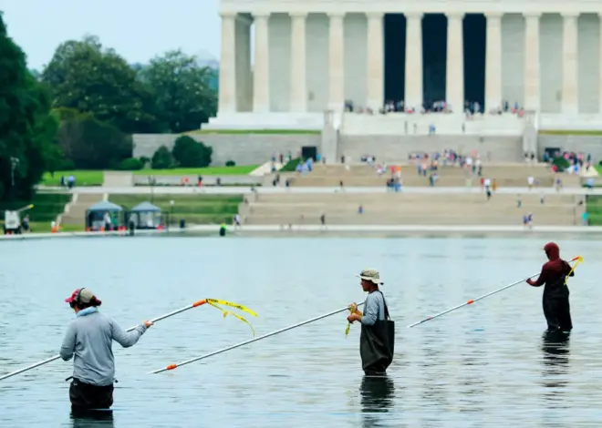 Blue paint seen chipping off in Lincoln Memorial Reflecting Pool after algae turns it green