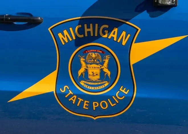 Body of newborn found in portable restroom at Electric Forest music festival in Michigan