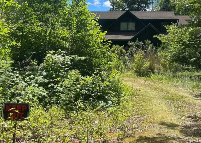 Mother and son identified as skeletal remains found in Connecticut home bought at auction