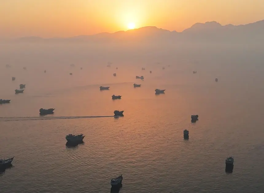 Oil prices fall sharply on Iran deal, but whether they go much lower ‘is highly questionable’