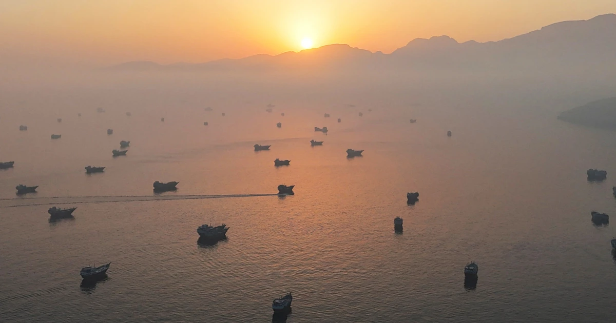 Oil prices fall sharply on Iran deal, but whether they go much lower ‘is highly questionable’