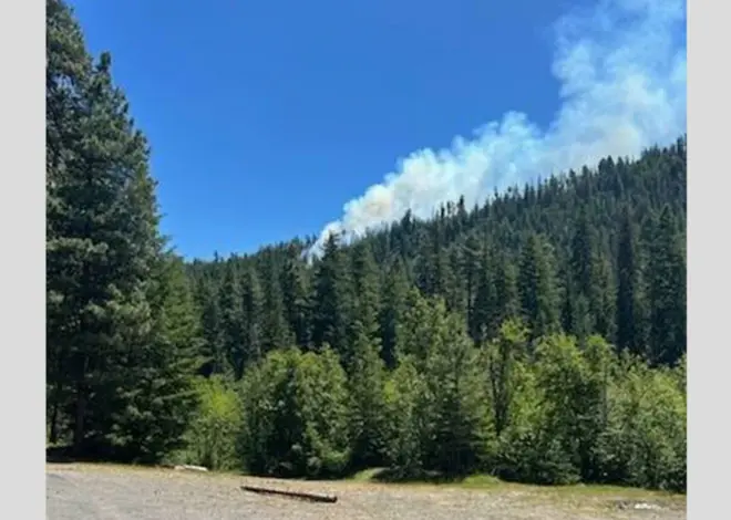 Pilot ejects before fighter jet crashes into mountain in Washington state woodlands