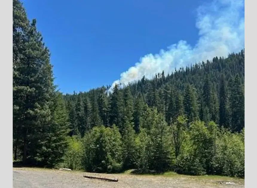Pilot ejects before fighter jet crashes into mountain in Washington state woodlands