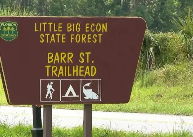 Woman dies after alligator bites off her arm in Florida river