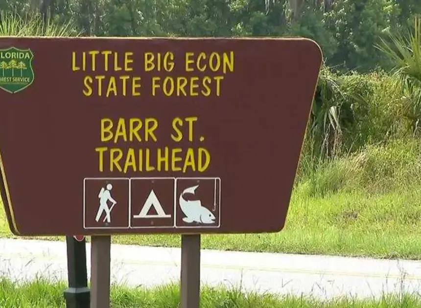 Woman dies after alligator bites off her arm in Florida river