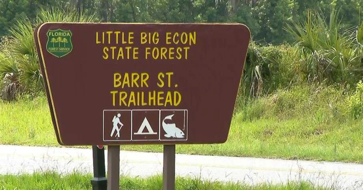 Woman dies after alligator bites off her arm in Florida river