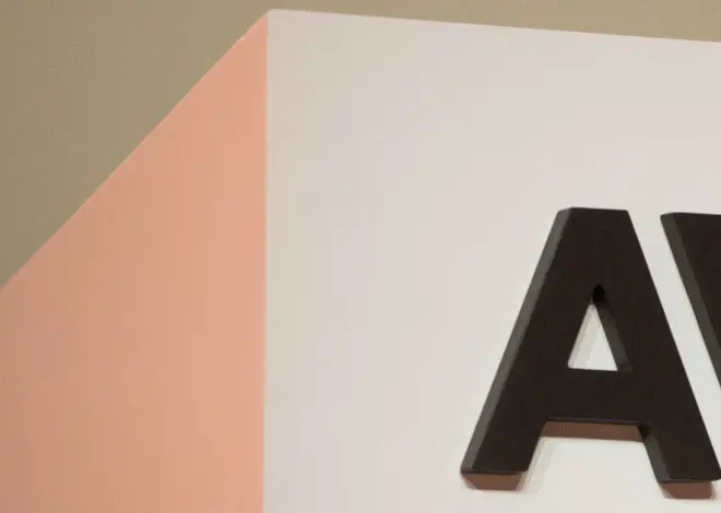 Anthropic suspends new AI models after government directive