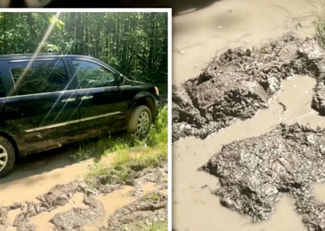 Missing Minnesota woman found stuck in mud after 3 days