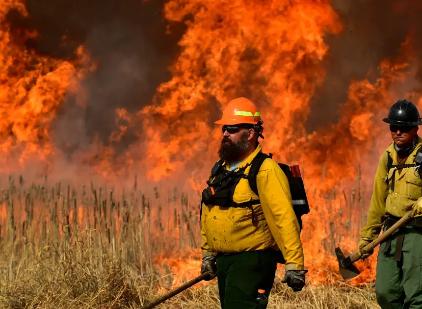 Federal firefighters will be encouraged to wear N95 respirators in major policy reversal