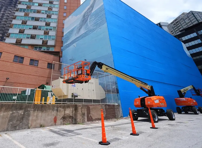 Artist suing FIFA over destruction of Dallas whale mural before World Cup