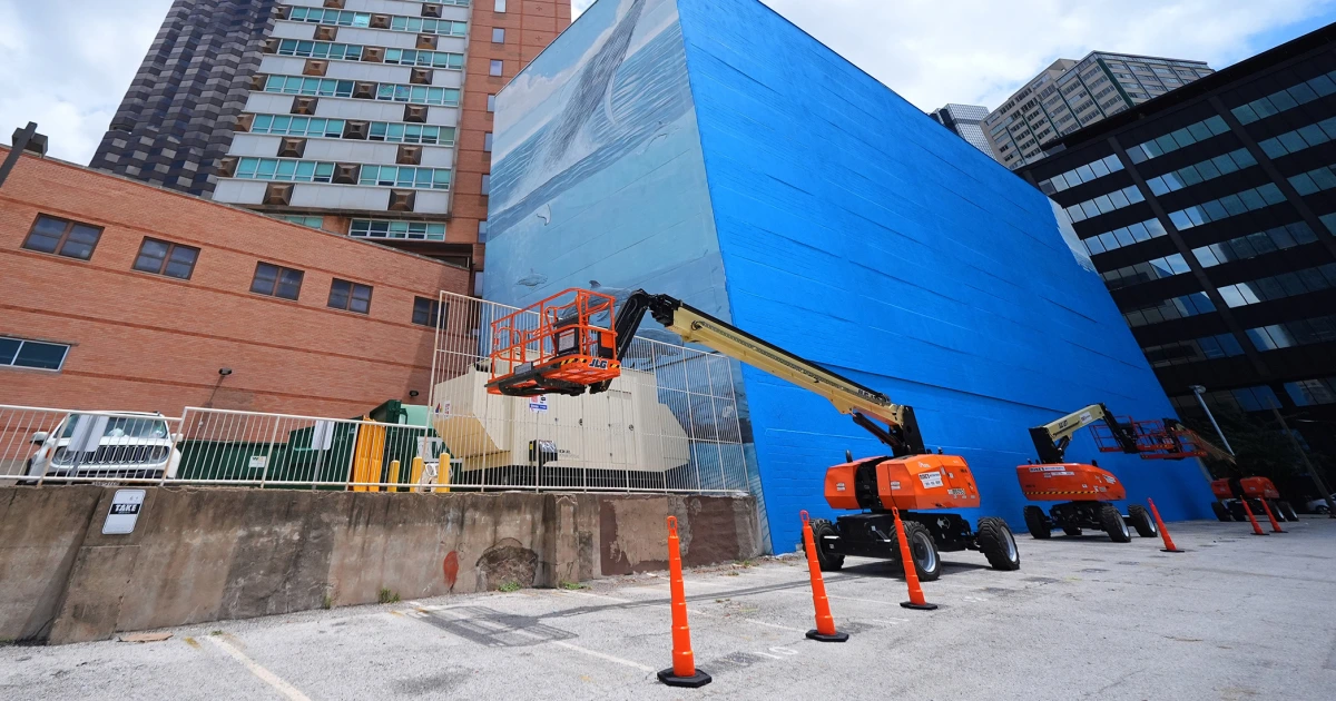Artist suing FIFA over destruction of Dallas whale mural before World Cup