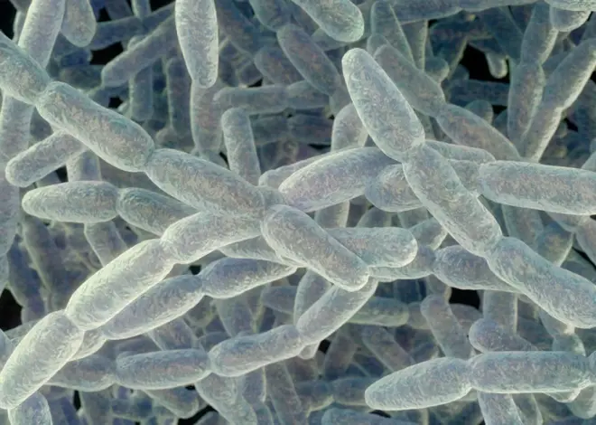 What to know about the severe pneumonia cluster on the Upper East Side