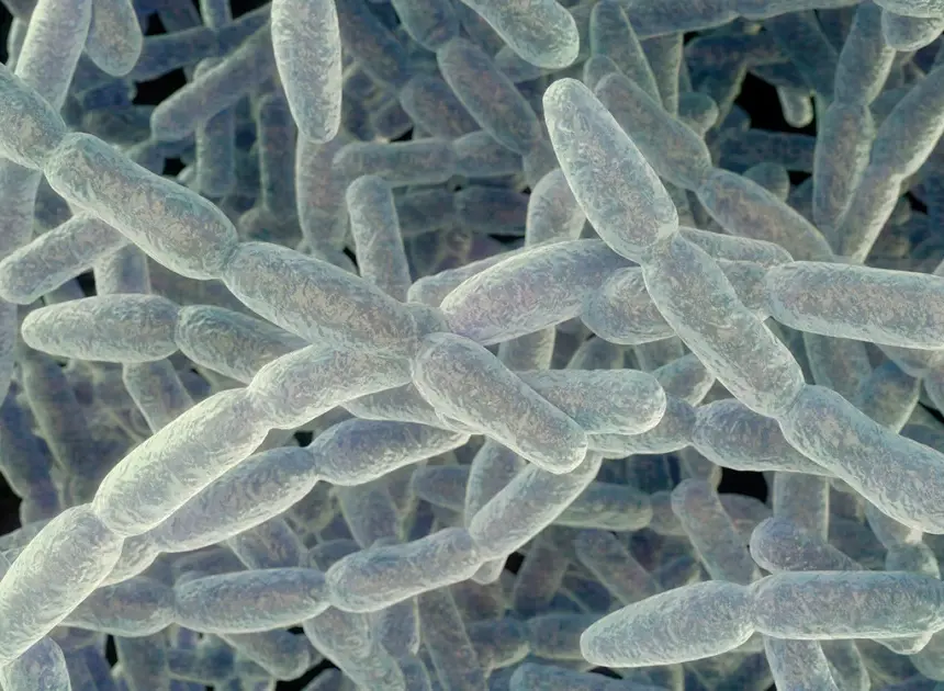 What to know about the severe pneumonia cluster on the Upper East Side