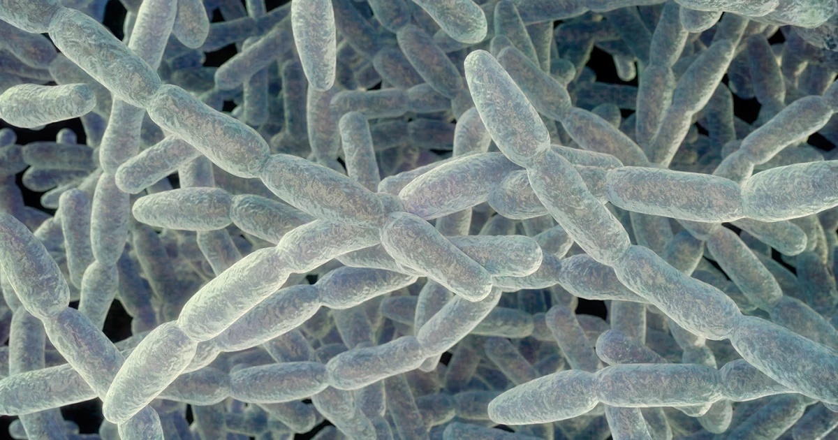 What to know about the severe pneumonia cluster on the Upper East Side