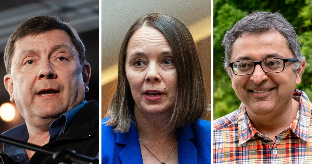 The (election) losers fighting to replace Graham Platner in Maine