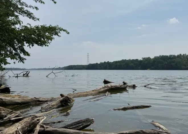 Attempt to save a struggling swimmer leaves 5 dead in an Ohio river