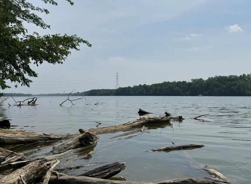 Attempt to save a struggling swimmer leaves 5 dead in an Ohio river