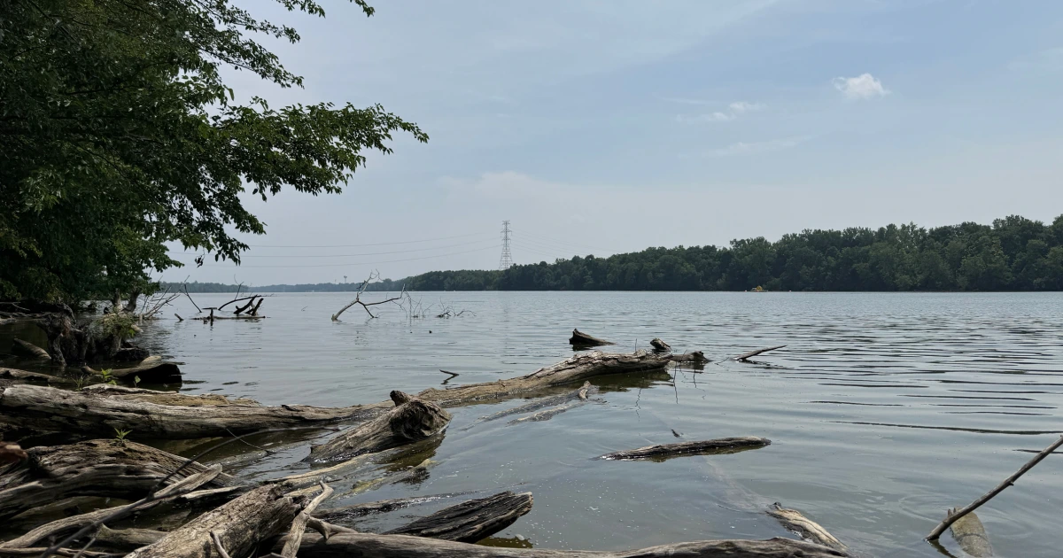 Attempt to save a struggling swimmer leaves 5 dead in an Ohio river