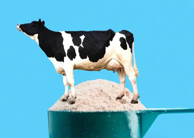 America’s obsession with whey protein has a delicious consequence: More cheese