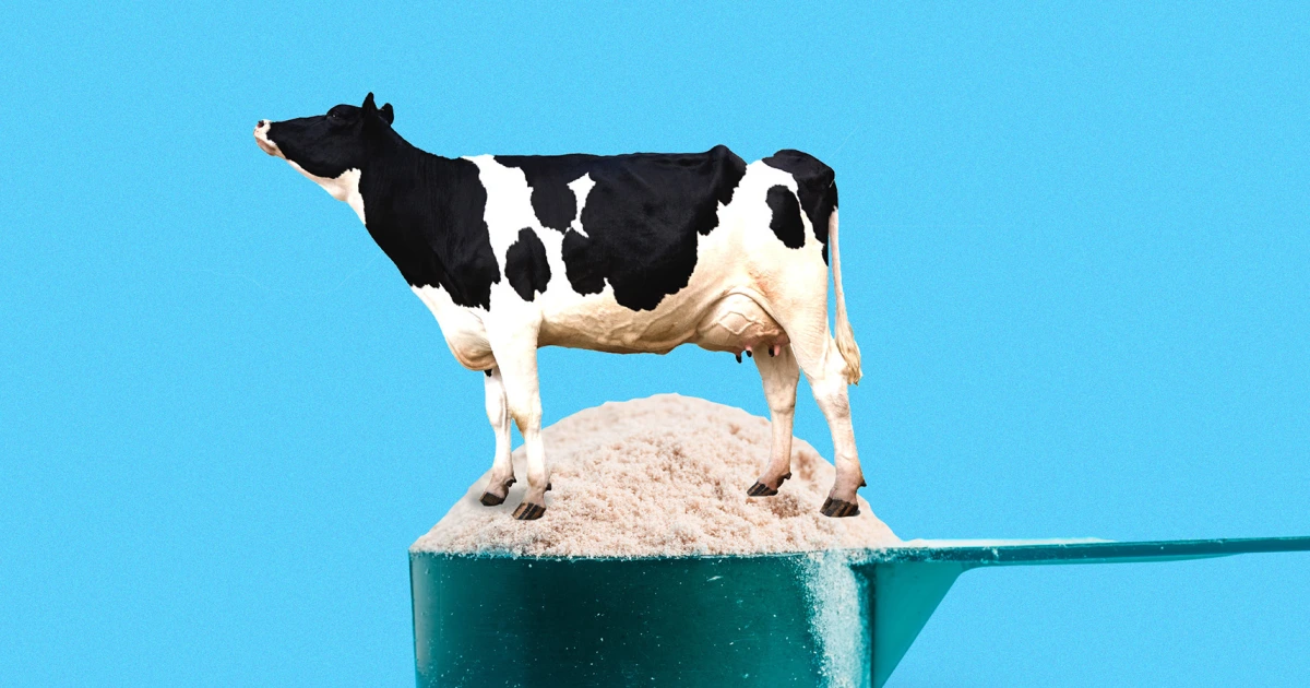 America’s obsession with whey protein has a delicious consequence: More cheese