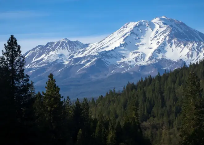 Two U.S. Forest Service employees rescued after being zip-tied and held hostage at gunpoint