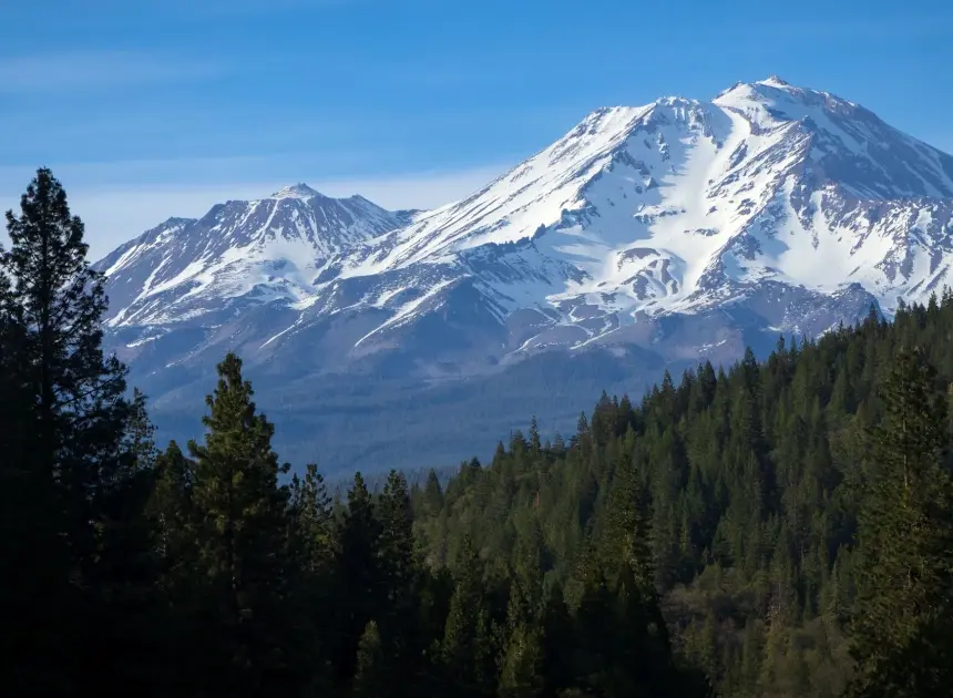 Two U.S. Forest Service employees rescued after being zip-tied and held hostage at gunpoint