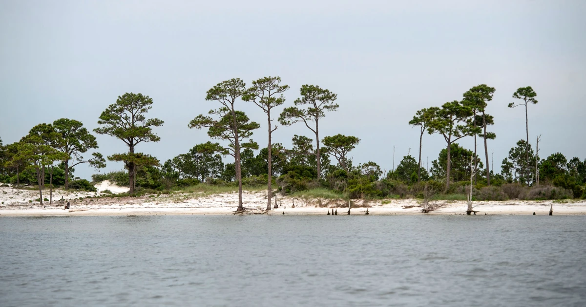 Before Nolan Wells’ death, Mississippi island was full of fun, friends and an unspoken danger