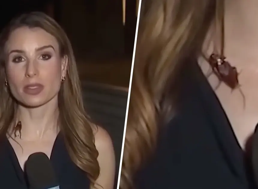 Reporter keeps her cool after cockroach lands on her during live report