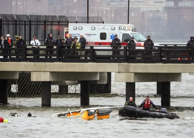 NYC sightseeing chopper likely hit birds before plunging into Hudson River, NTSB finds
