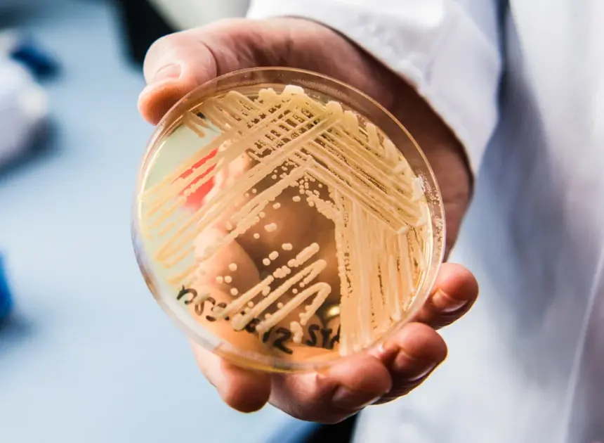 Deadly drug-resistant fungal infections rising in the U.S.