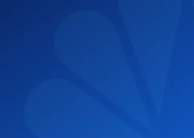 Two killed in shooting at shopping mall in Michigan