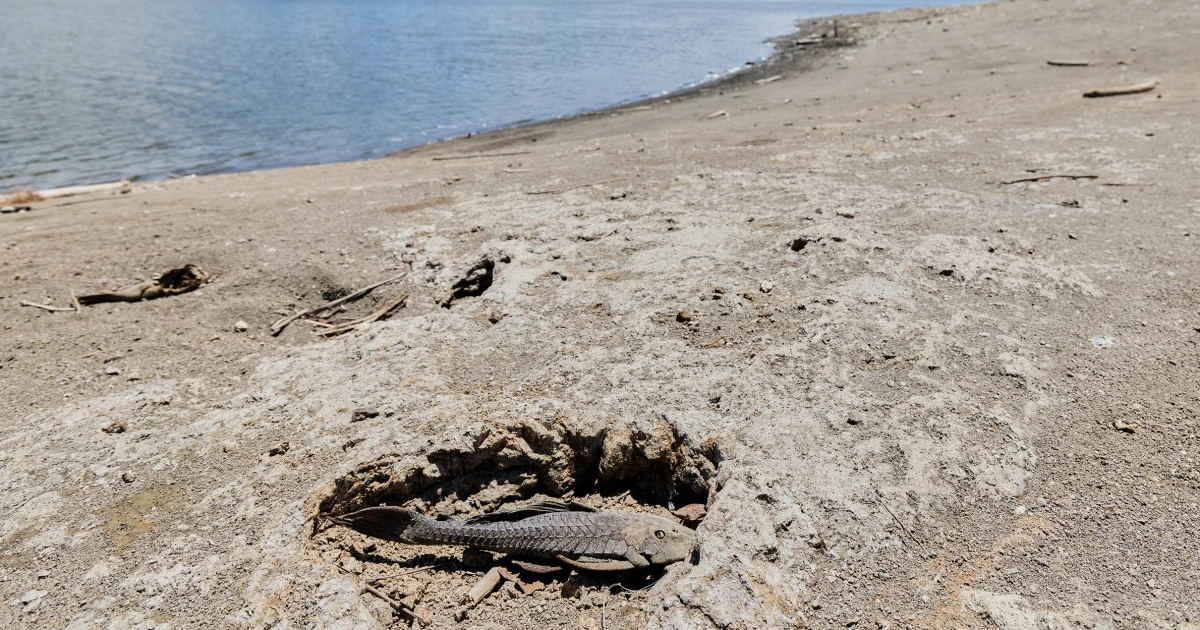 U.S. declares drought disaster for parts of Puerto Rico as dry conditions persist