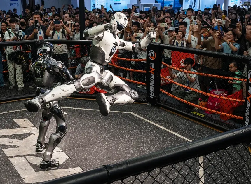 Can kung fu robots actually help humans do chores? A Beijing showcase has clues