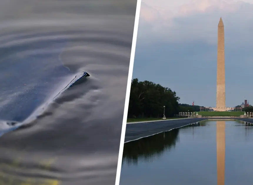 Trump administration was warned about peeling Reflecting Pool nearly a month before it brought vandalism case