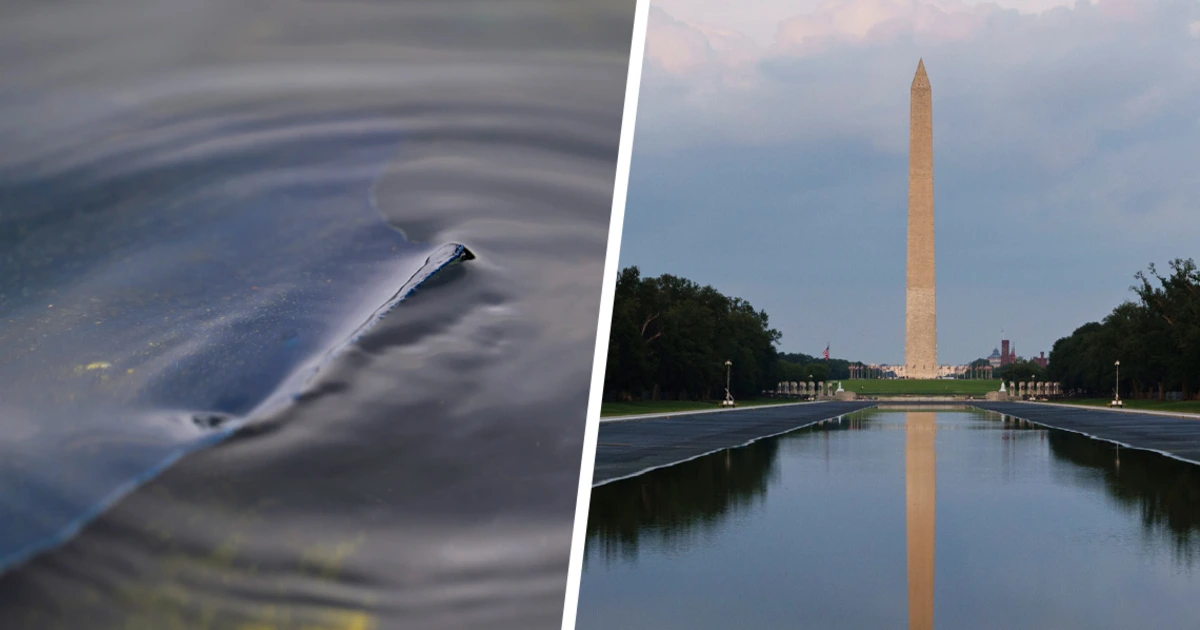 Trump administration was warned about peeling Reflecting Pool nearly a month before it brought vandalism case