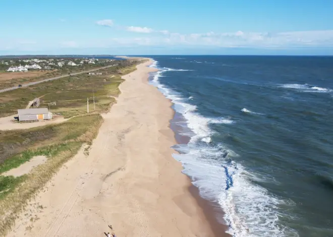Woman hospitalized with possible shark bite on Martha’s Vineyard