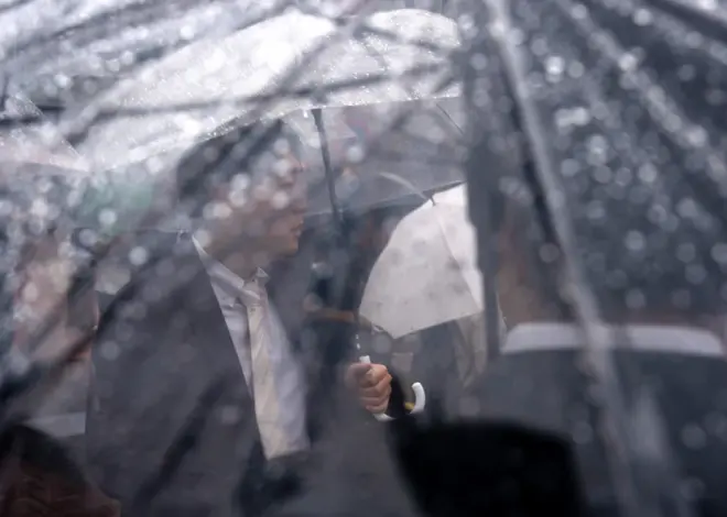 Torrential rains brought by Japan typhoon kill four, NHK says