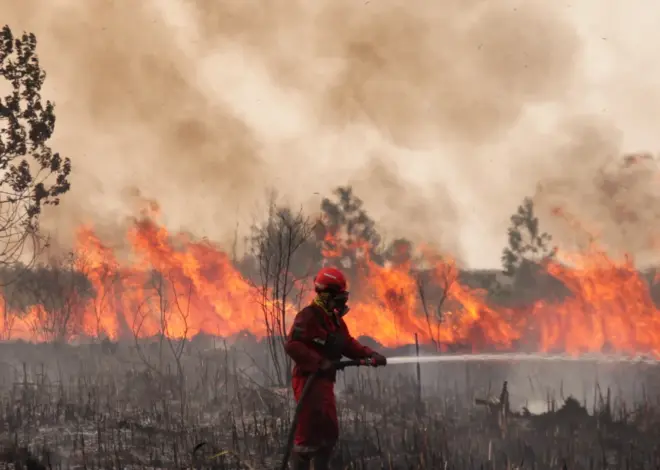 Smoke from Indonesia’s worst wildfires in years is spreading across Southeast Asia