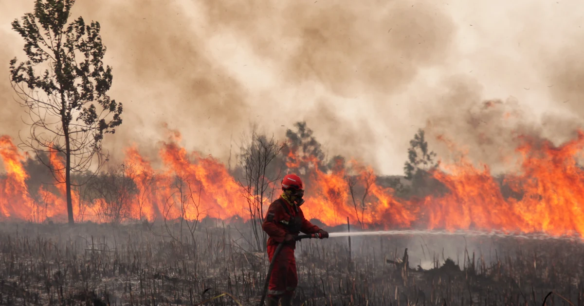 Smoke from Indonesia’s worst wildfires in years is spreading across Southeast Asia