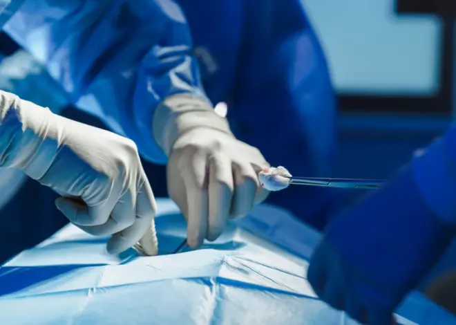 Pig kidney works for a record 271 days inside the body of surviving American
