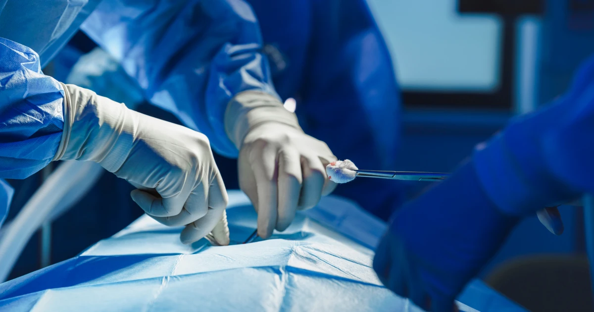 Pig kidney works for a record 271 days inside the body of surviving American
