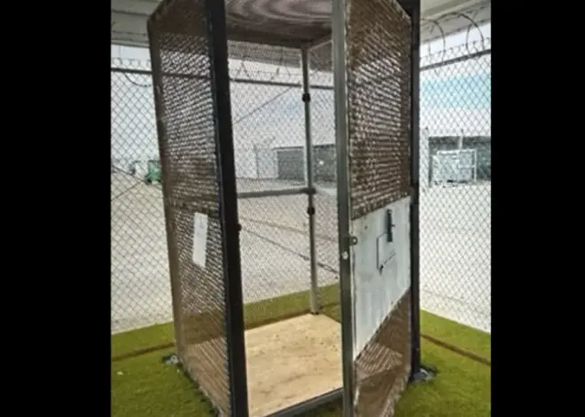 DHS watchdog: Immigrants held in outdoor cages the size of phone booths at ‘Alligator Alcatraz’