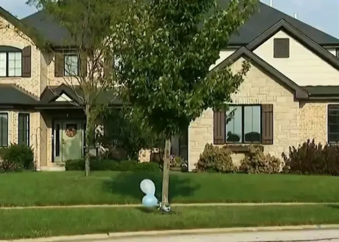 Illinois mother charged with murder after killing 2-year-old, attempting to harm herself