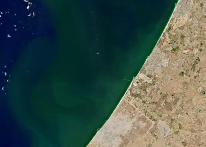Massive algae bloom exposes fragility of Israel’s advanced water system