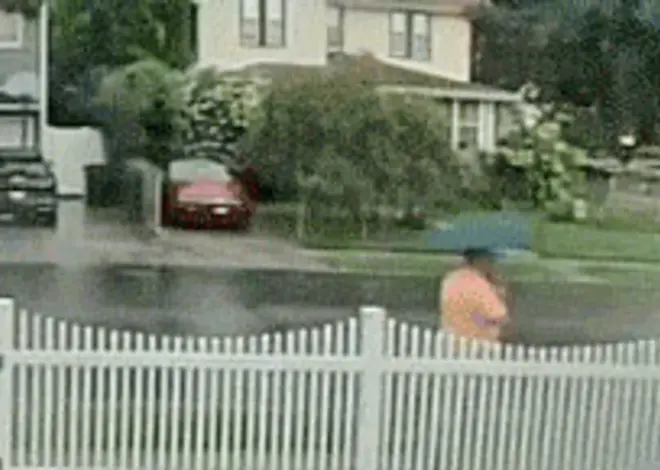 Video shows moment New York man is hit by lightning on Staten Island — and survives